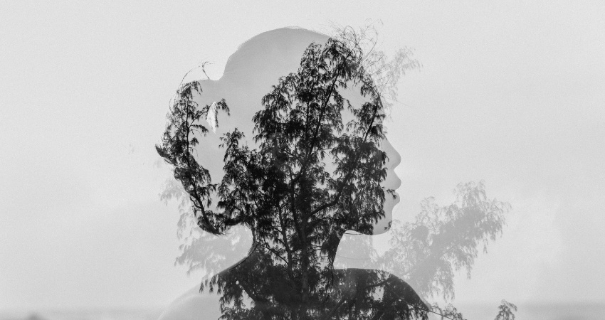 Honoring Women Peacebuilders in Africa and Beyond